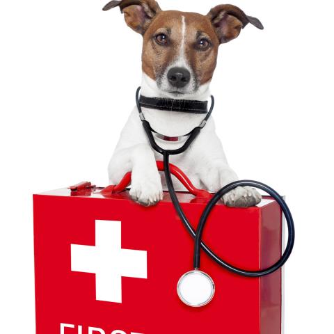 Comprehensive Access - At Cost Meds™ Annual Membership